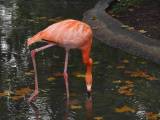 dsc02105.jpg