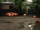 dsc02106.jpg
