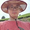 Qiang Liu